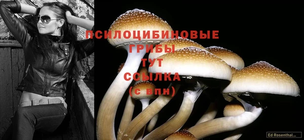 герыч Заволжье