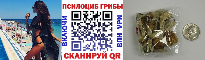 цены   Ивантеевка  mega онион  Псилоцибиновые грибы MAGIC MUSHROOMS 