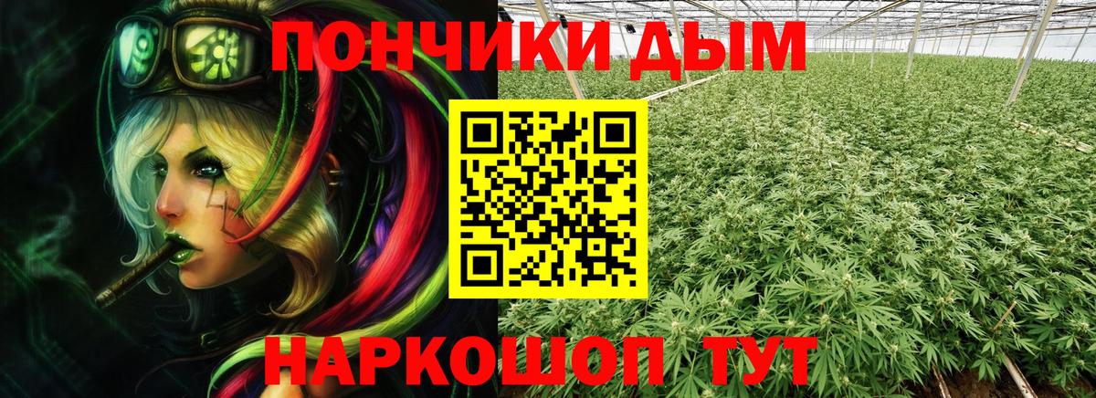 Конопля THC 21% Ивантеевка